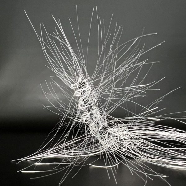 IMG_0176_b-scaled